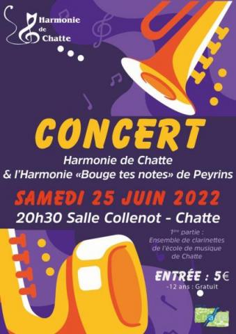 Concert Peyrins & chatte